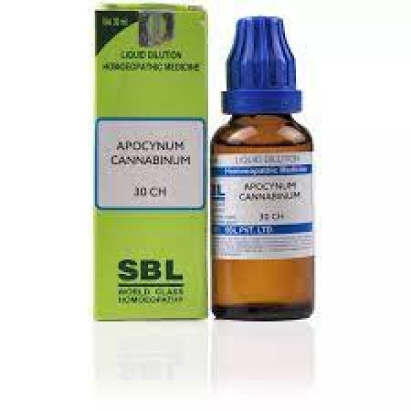 Apocynum Cannabinum